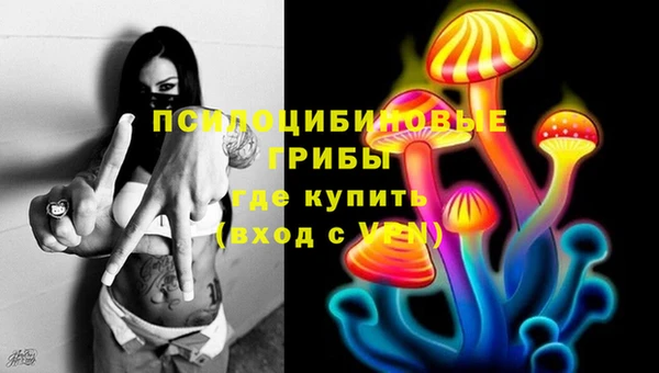 гашишное масло Краснослободск